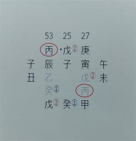 身強 身弱|「身強」と「身弱」で何がわかるの？